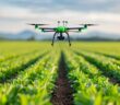 Precision Farming & Nachhaltige Abfallentsorgung – Ressourcen optimal nutzen (Foto: AdobeStock - 913576282 Pachara)